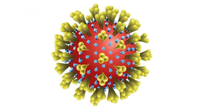 schematische weergave van het covid19-virus