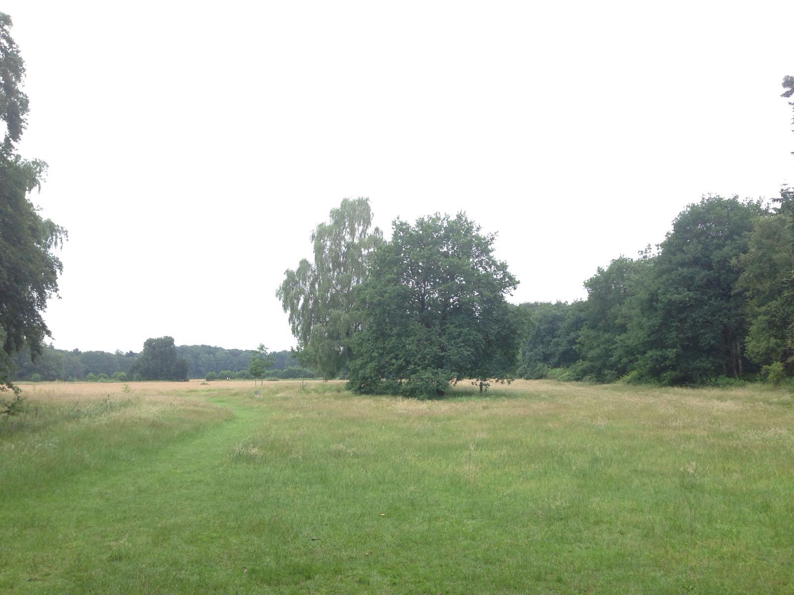 foto van veld in het landgoed Houdringe