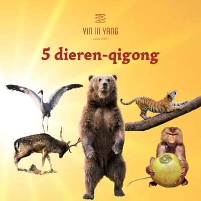 vijf dieren op gele achtergrond